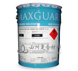 高档产品胶衣 GN0000SCT